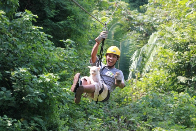 Tour de canopy
